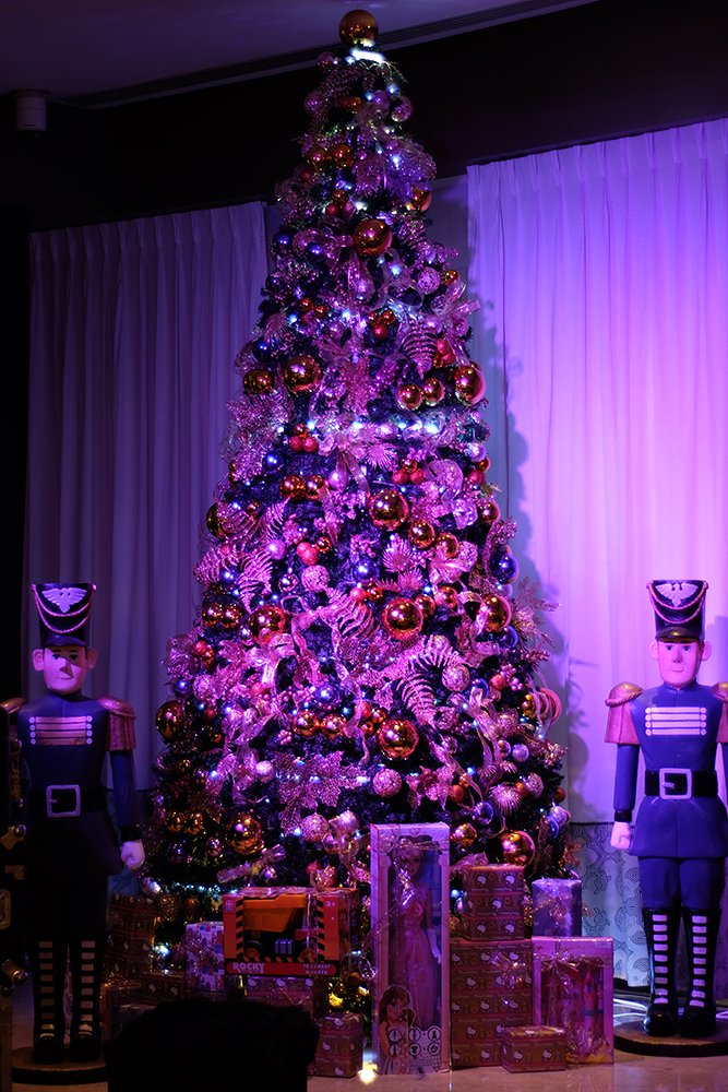 Quest Hotel Christmas Tree Lighting 2017