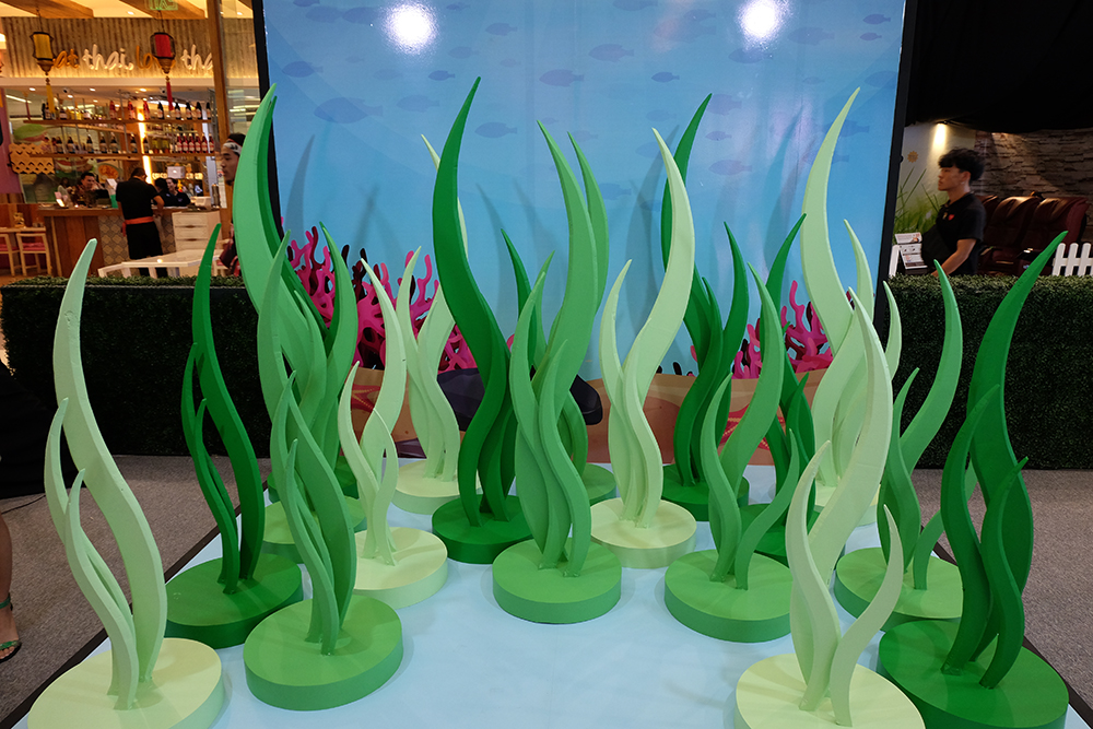 Colorgram Davies Paints SM Seaside City Cebu
